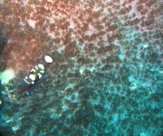 indonesia (23)