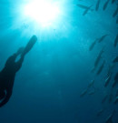 Apnea